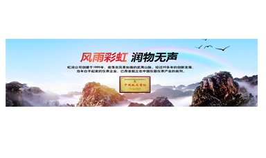 不經(jīng)風(fēng)雨何以見(jiàn)彩虹——在虹潤(rùn)圓夢(mèng)助學(xué)行動(dòng)座談會(huì)上的講話