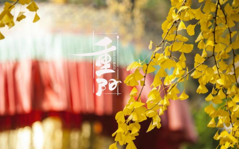 金秋送爽，心暖重陽。祝您重陽愉快，闔家歡樂，福壽安康！